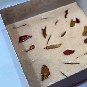 plum slices in a cake batter ready to be baked